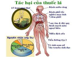 tác hại của thuốc lá